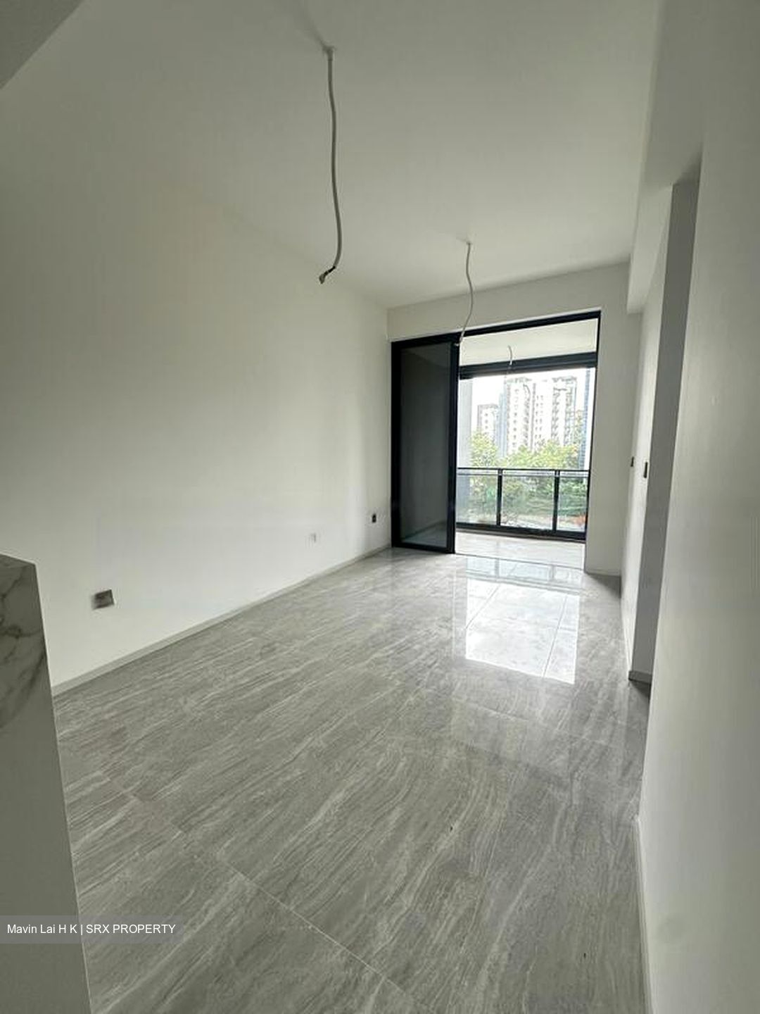 Leedon Green (D10), Condominium #422396171